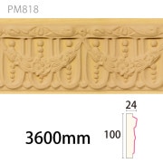 PM818���ѥ����⡼��ǥ��� ��100��24�� 3600mm��AY��