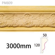 PM809S���ѥ����⡼��ǥ��� ��120��50�� 3000mm��AY��