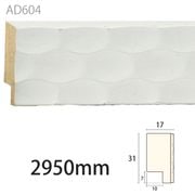 AD604ǥ 3117 2950mm ʥ桼