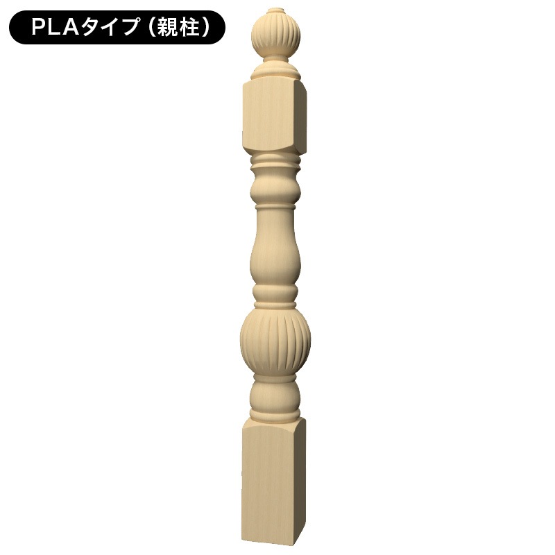 キューバ産　美麗ゾウムシ　12mm キューバ産 美麗ゾウムシ 12mm キューバ産美麗ゾウムシ12mm