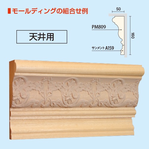 PM809S���ѥ����⡼��ǥ��� ��120��50�� 3000mm��AY��