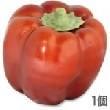 NAC008ڥ֥եաɡơ֥륤ƥꥢåɥѥץꥫ ͡5550mm