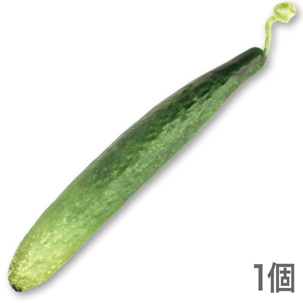 NAC015����ڥ��֥������ե������ա��ɡ��ơ��֥륤��ƥꥢ�����奦�ꡡ230��35mm�����߸˸¤�