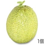 NAC017�ò�ʪ���֥������ե������ա��ɡ��ơ��֥륤��ƥꥢ�������120��100mm�����߸˸¤�