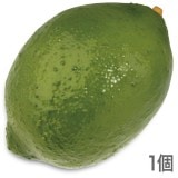 NAC020�ò�ʪ���֥������ե������ա��ɡ��ơ��֥륤��ƥꥢ�����꡼�����55��85mm�����߸˸¤�