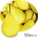 NAC104�ò�ʪ���֥������ե������ա��ɡ��ơ��֥륤��ƥꥢ��������110��70mm��10�ĥ��åȡ����߸˸¤�