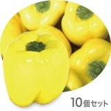 NAC106����ڥ��֥������ե������ա��ɡ��ơ��֥륤��ƥꥢ�����������ѥץꥫ �̡�90��80mm��10�ĥ��åȡ����߸˸¤�