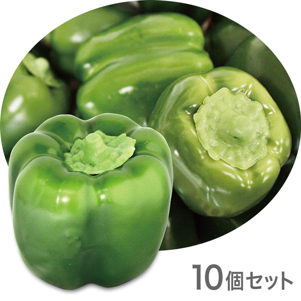 NAC110ڥ֥եաɡơ֥륤ƥꥢ꡼ԡޥ͡5550mm10ĥåȡ߸˸¤