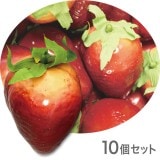 NAC114�ò�ʪ���֥������ե������ա��ɡ��ơ��֥륤��ƥꥢ�����ȥ��٥꡼��85��65mm��10�ĥ��åȡ����߸˸¤�