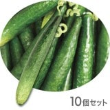 NAC115����ڥ��֥������ե������ա��ɡ��ơ��֥륤��ƥꥢ�����奦�ꡡ230��35mm��10�ĥ��åȡ����߸˸¤�