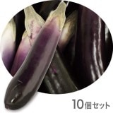 NAC116����ڥ��֥������ե������ա��ɡ��ơ��֥륤��ƥꥢ���ʥ���170��40mm��10�ĥ��åȡ����߸˸¤�