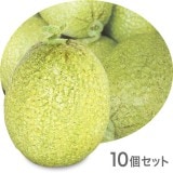 NAC117�ò�ʪ���֥������ե������ա��ɡ��ơ��֥륤��ƥꥢ�������120��100mm��10�ĥ��åȡ����߸˸¤�