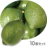 NAC120�ò�ʪ���֥������ե������ա��ɡ��ơ��֥륤��ƥꥢ�����꡼�����55��85mm��10�ĥ��åȡ����߸˸¤�