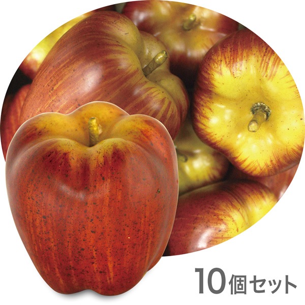 NAC121�ò�ʪ���֥������ե������ա��ɡ��ơ��֥륤��ƥꥢ�����åץ롡85��70mm��10�ĥ��åȡ����߸˸¤�