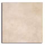 65%��������ȥ�åȥ����롡596��596��11mm��3�����ꡡ[N-EUPLB004P] ���߸˸¤� ���������������Ӹ���