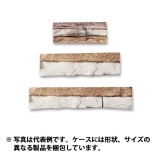 40%ȥåȡN-JA90֥å롡1Ȣ߸˸¤ꡡӸ