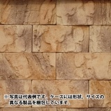 39%��������ȥ�åȡ�N-JB54�å֥�å������롡1Ȣ�����߸˸¤ꡡ���������Ӹ���