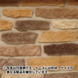 40%��������ȥ�åȡ�N-JN54�å֥�å������롡1Ȣ�����߸˸¤ꡡ���������Ӹ���