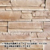 39%��������ȥ�åȡ�N-JX13�å֥�å������롡1Ȣ�����߸˸¤ꡡ���������Ӹ���