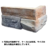 39%��������ȥ�åȡ�N-JA92C�å֥�å������롡1Ȣ�����߸˸¤ꡡ���������Ӹ���