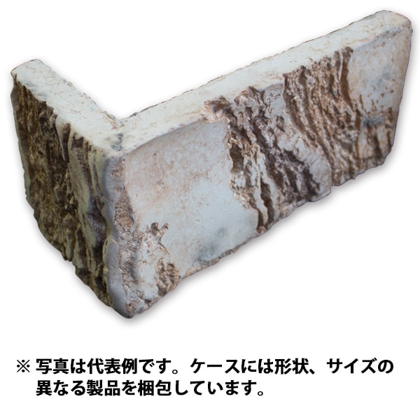 39%��������ȥ�åȡ�N-JC54C�å֥�å������롡1Ȣ�����߸˸¤ꡡ���������Ӹ���