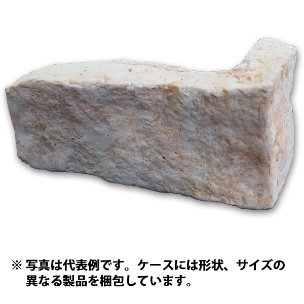 39%��������ȥ�åȡ�N-JN54C�å֥�å������롡1Ȣ�����߸˸¤ꡡ���������Ӹ���