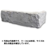 39%��������ȥ�åȡ�N-JK11C�å֥�å������롡1Ȣ�����߸˸¤ꡡ���������Ӹ���