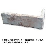 39%��������ȥ�åȡ�N-JK56C�å֥�å������롡1Ȣ�����߸˸¤ꡡ���������Ӹ���