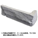 39���������ȥ�åȡ�N-X101-C�å֥�å������� ��Ȣ���ꡡ���߸˸¤�