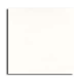 N-CHYSNA001P-LOT3�ü��勵���롡300��300��10mm��10�����ꡡ���߸˸¤ꡡ���������������Ӹ���