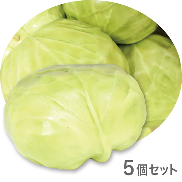 【デッキ販売】半額キャベツ 0000000079012_nbCVbsw.jpg