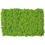 NMS100G15���̲��ݥ���ƥꥢ������⥹��������S���������ᥤ���꡼��400��600mm