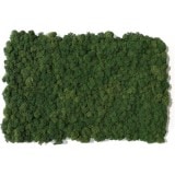 NMS100G26���̲��ݥ���ƥꥢ������⥹��������S���������꡼�ե��꡼��400��600mm