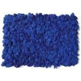 NMS100M03���̲��ݥ���ƥꥢ������⥹��������S���������ޥ��400��600mm