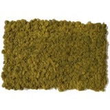 NMS100G13���̲��ݥ���ƥꥢ������⥹��������S���������饤�॰�꡼��400��600mm