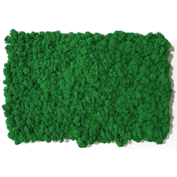 NMS100G35���̲��ݥ���ƥꥢ������⥹��������S�����������åץ륰�꡼��400��600mm