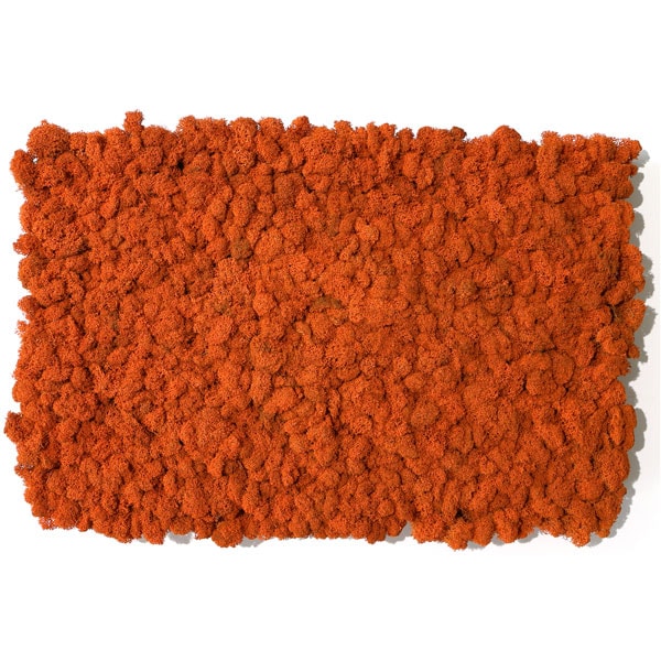 NMS100R66̲ݥƥꥢ⥹S󥸡400600mm