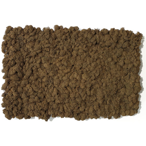 NMS100B85���̲��ݥ���ƥꥢ������⥹��������S���������֥饦��400��600mm