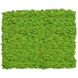 NMS101G15���̲��ݥ���ƥꥢ������⥹��������M���������ᥤ���꡼��600��800mm