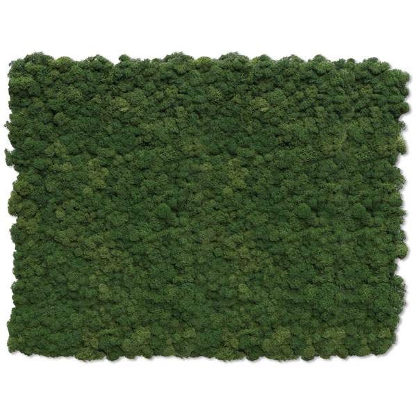 NMS101G26���̲��ݥ���ƥꥢ������⥹��������M���������꡼�ե��꡼��600��800mm