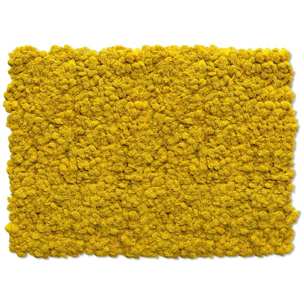 NMS101Y06̲ݥƥꥢ⥹M600800mm