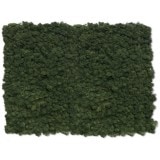 NMS101G25���̲��ݥ���ƥꥢ������⥹��������M�����������������꡼��600��800mm