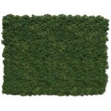 NMS101G35���̲��ݥ���ƥꥢ������⥹��������M�����������åץ륰�꡼��600��800mm