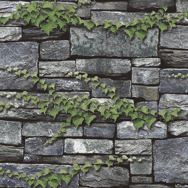 NWPS504C��3D�ɻ桡3D�����������ɤȿ�ʪ��53cm��10m