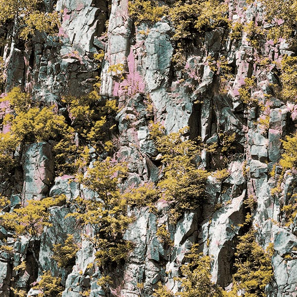 NWPS506B｜3D壁紙 3Dクロス 崖と植物 53cm×10m｜壁紙,3Dクロス（壁紙