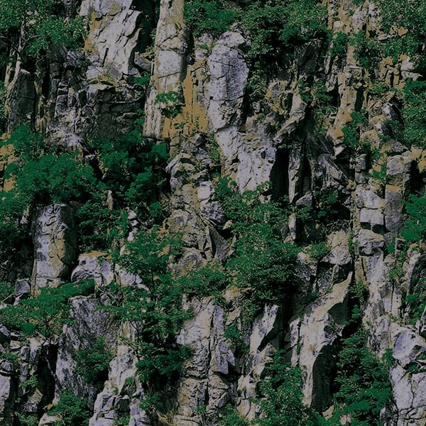 NWPS506D｜3D壁紙 3Dクロス 崖と植物 53cm×10m｜壁紙,3Dクロス（壁紙