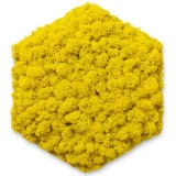 NMS400Y06���̲��ݥ���ƥꥢ������⥹��ϻ�ѷ�������������270��230��50mm