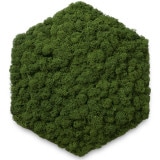 NMS400G26���̲��ݥ���ƥꥢ������⥹��ϻ�ѷ����꡼�ե��꡼��270��230��50mm