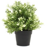 NIG702�åե��������꡼��ݥåȡ��͹����տ�ʪ�������ࡡľ��15�߹⤵20cm