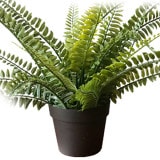 NIG703�åե��������꡼��ݥåȡ��͹����տ�ʪ��������ľ��40�߹⤵30cm